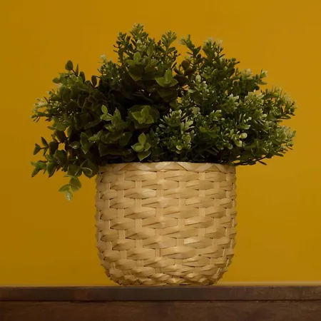 Intendente 1865 ベッド・アンド・ブレックファスト 3*