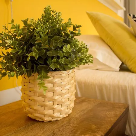 Intendente 1865 فندق مبيت وإفطار 3*